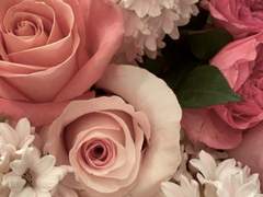 다복팔당多福八堂