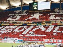 써머타임 독스 드림