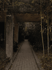 문스독 드림-요코하마 100배 즐기기