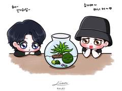 이게모야? 마리모야!