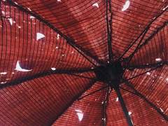 내가 널 구원할테니,