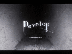 Develop 세계관 정리