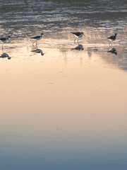 임시 게시판(윤독 후기)