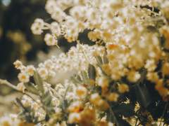 [4호슬레]'누군가'가