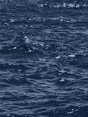 하키 막장 인생