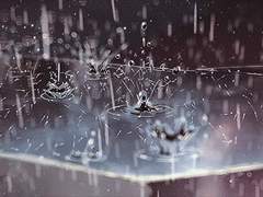 [데못죽/드림] 🌂 ☂️