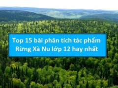 Phân tích bài Rừng xà nu hay nhất