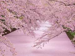 [호열백호열] 3월 10일, 오후 4시 1분