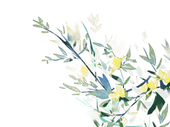 綠娟ㅣ인간ㅣ28ㅣ女