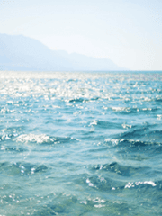 트위터 썰 백업