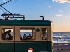 강백호 재활 드림