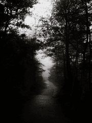 [화산귀환/당보청명] 도망