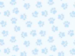 커미션 자료 ❤︎