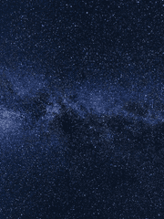 프로필 & 드림 설정