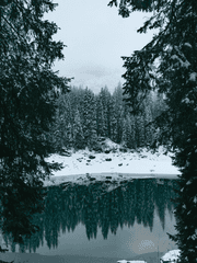 스프레드시트 배포물