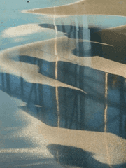 [데못죽] Daydream.