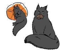 태웅태섭 모음2