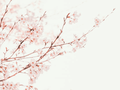 [검존백천] 亡失 , 改訂版 (二)