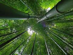 38. 은이한테 일말의 죄책감도 없느냐