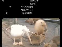 [후기] 천사에 관하여: 타락천사 편