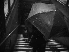 화요일엔 우산을 챙기세요