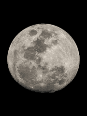 Be bathed in the moonlight