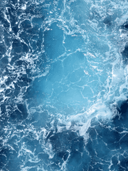 어바등 그림 백업