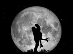 어린나이에 감방 다녀와서 아무것도 못하는 호랑이를 만난 곰 소설7