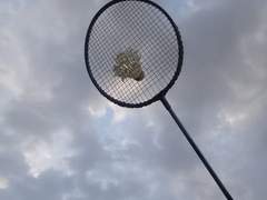 자자! 한 세트만 더!