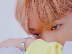 맹수 수인이 사는 곳이니 침입하지마세요.[5]