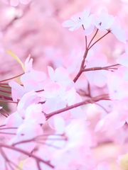 tvN 드라마 일타스캔들 모음