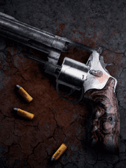 [도리벤 드림 / 범천 드림] 복수는 나의 것