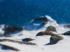 쟁취해라! 비 마이 즈베즈다!