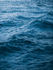 [몬스타엑스|형원] 용궁설화