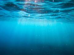 알베르 글루바인ㅣXYㅣ래번클로