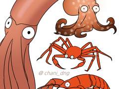 랍스터는? 대게는? 문어는?? 대왕 오징어는????