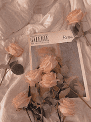 미연시 공략 모음집