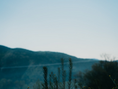 [아카아무] 낮에 뜨는 달, 밤을 걷는 해 下