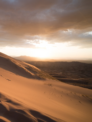 인스턴트 샹그릴라