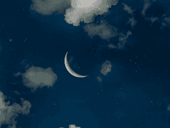 오늘의 데이트는 몇 점?