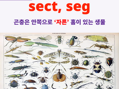sect, seg