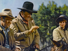 [만주를 향해 쏴라!] 시나리오 소개