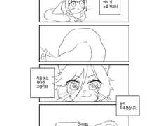 고양이 다섯마리 나와요