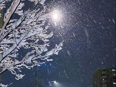 전해지지 않는 편지,