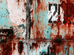 청려주단 [Not to die]