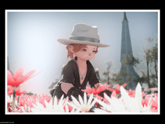 라라펠 사진 찍어드립니다