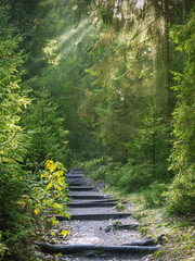 길 잃은 자들의 새벽