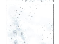 슬램덩크 정리1