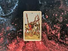 이번 주의 카드: 5 of Wands