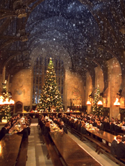 골든 스니치 공략 루트